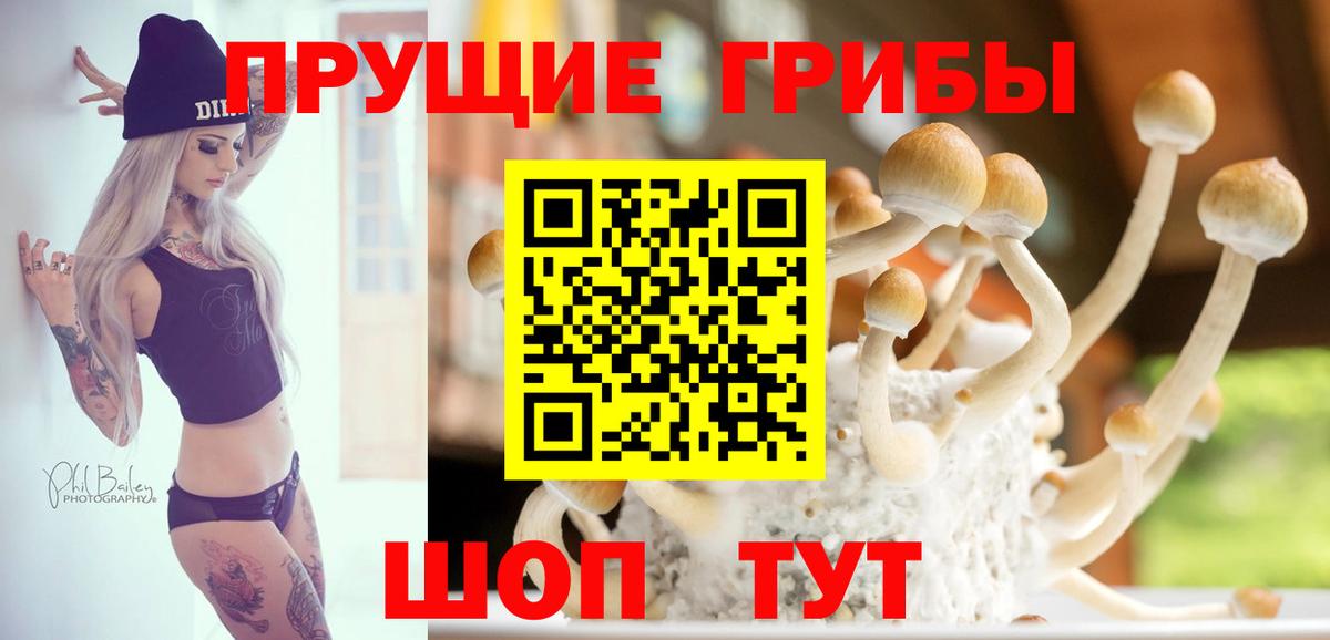 Новороссийск  закладки  Псилоцибиновые грибы Psilocybe  Вход с VPN  Галлюциногенные грибы мицелий 